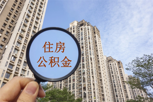 随县帮助取公积金（代取公积金app）
